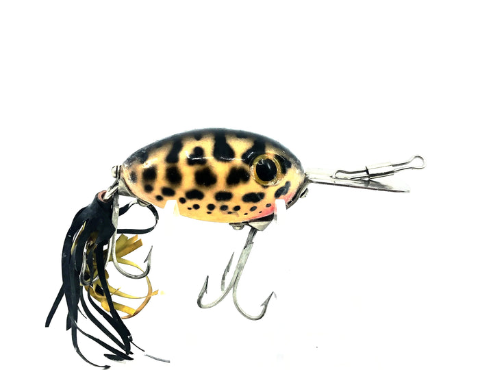 Arbogast Arbo-Gaster, Yellow Coachdog Color