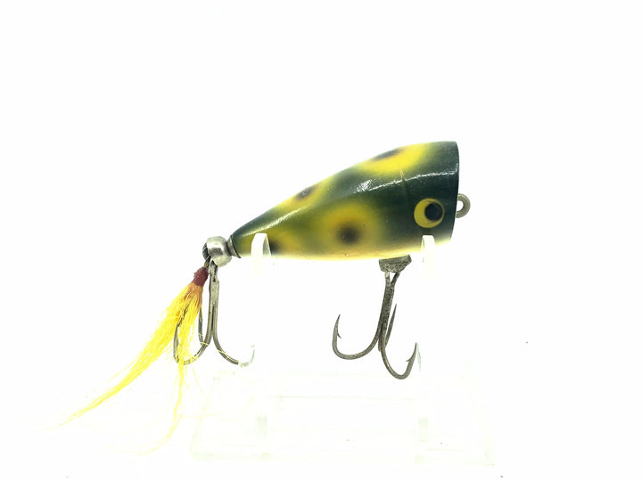 Unknown Popper, Frog Color