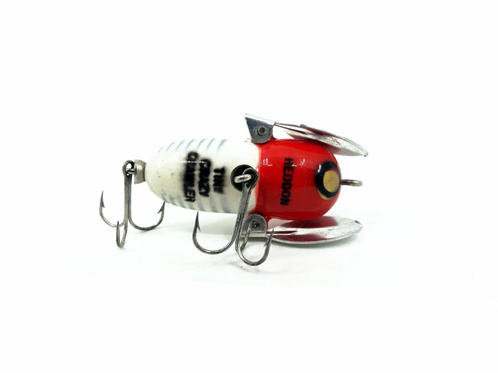 637256_5 637256_5