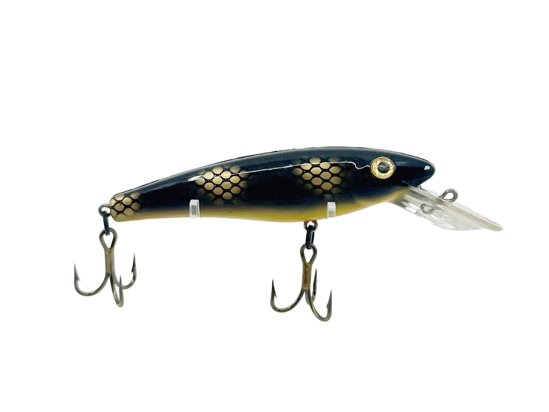Musky Mania Lil Ernie, Black Scale Color