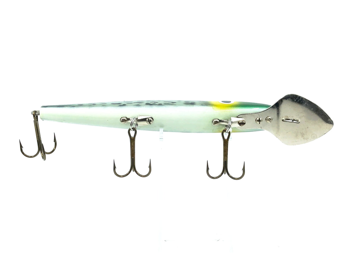Cisco Kid 1800 Series Super Husky, Coach Dog Color
