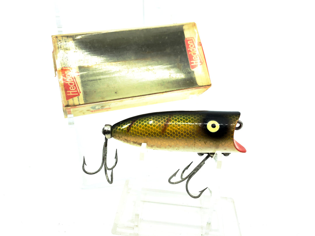 Heddon Baby Lucky 13 2400, L Perch Color with Box
