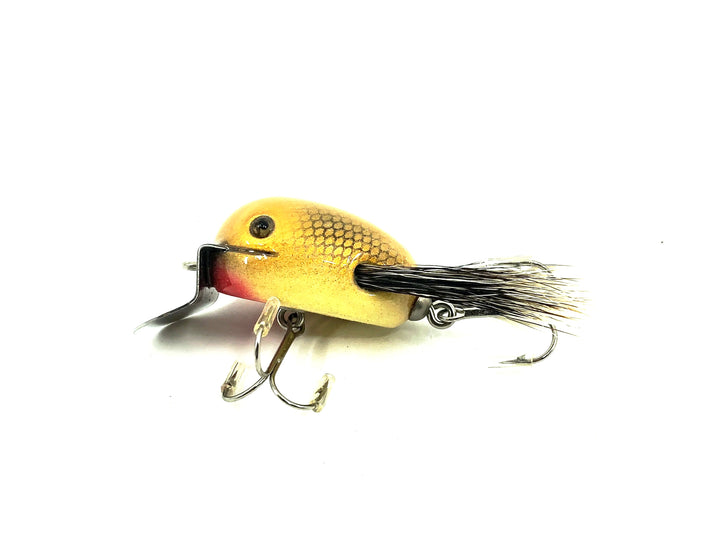 Musky Dan (XXX Lures) Baby Dingbat, Golden Shiner w/COA