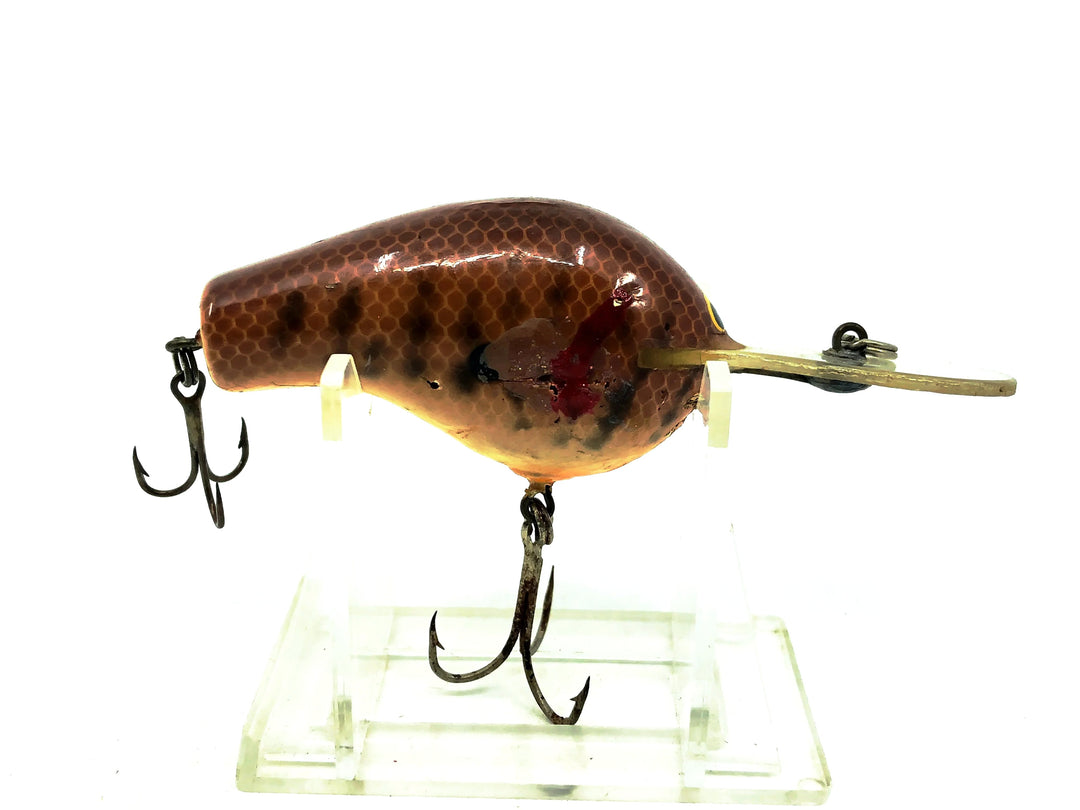 Bagley Diving B2 DB2-DC, Dark Crayfish Color