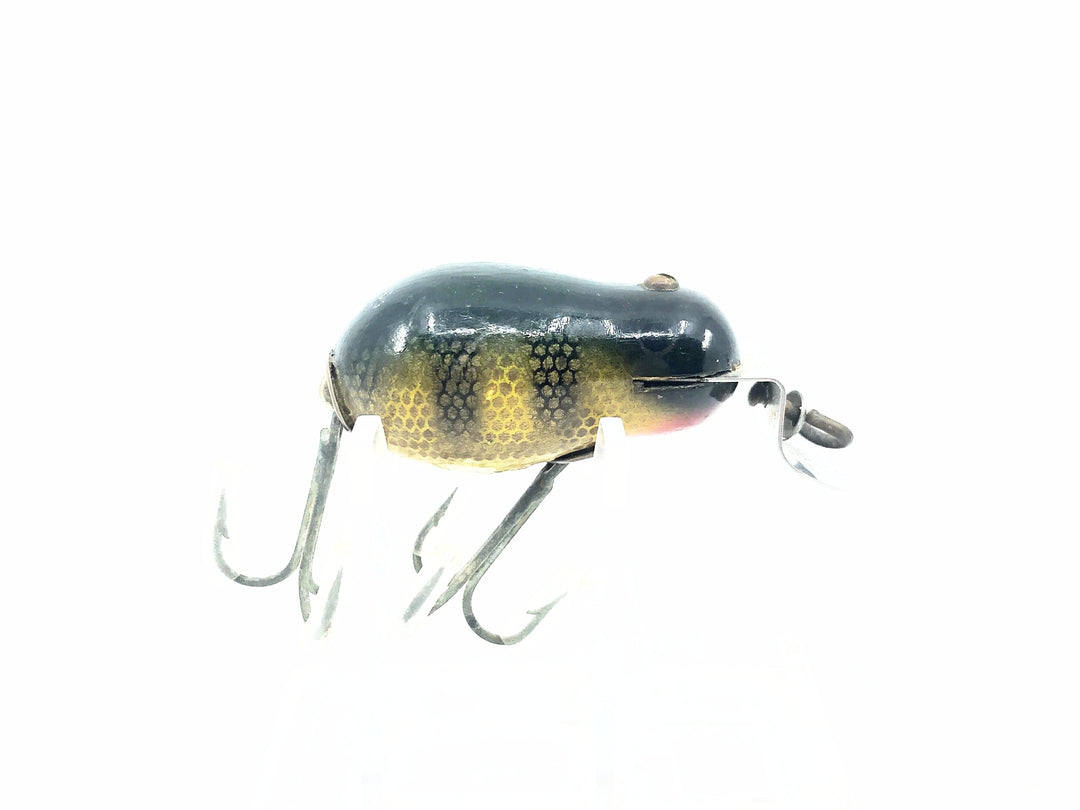 Creek Chub 6400 Tiny Tim #01 Perch Scale Color