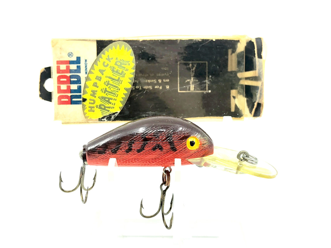 Rebel Humpback Rattler DR-2025-R-IBX, Crawdad w/Orange Belly w/Box
