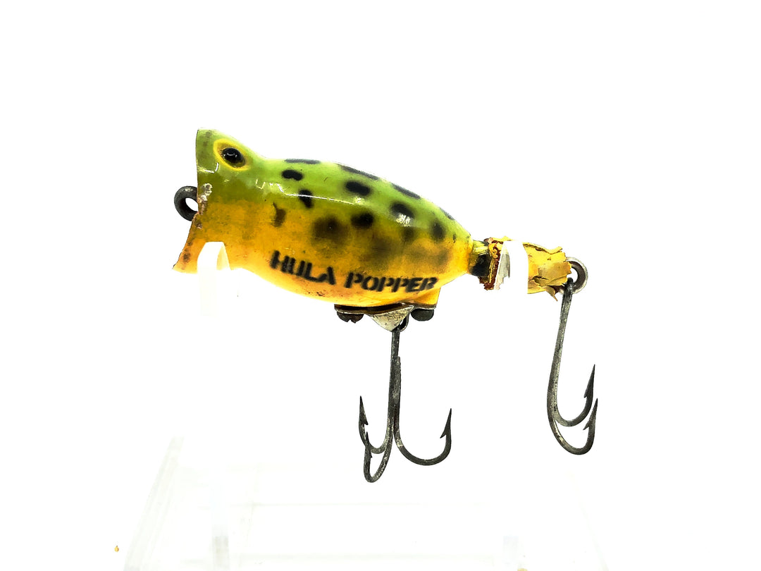 Arbogast Hula Popper, Frog/Yellow Belly Color
