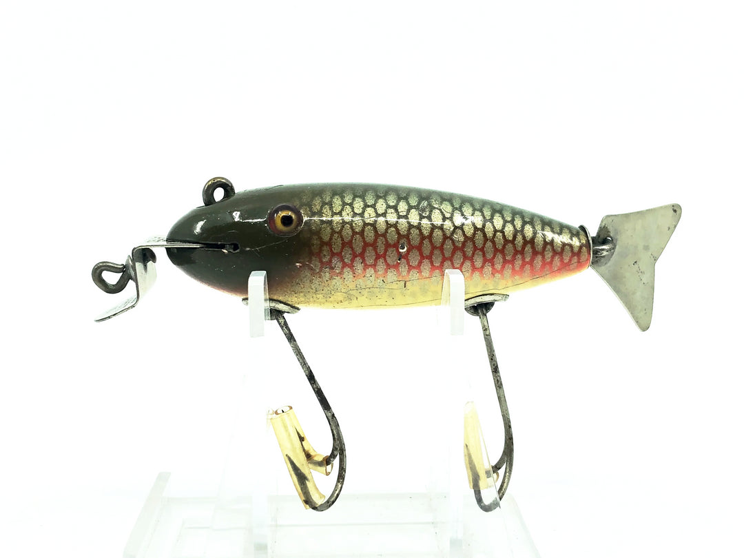 Creek Chub 800 Deluxe Wagtail Chub, #05 Dace Color-Early Version