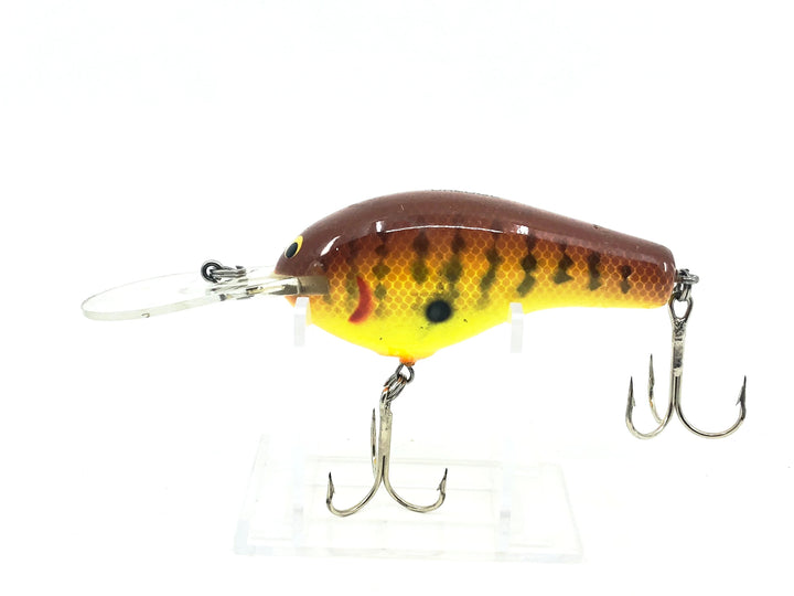 Bagley's DB3 Dredge DC9 Dark Crayfish on Chartreuse Color
