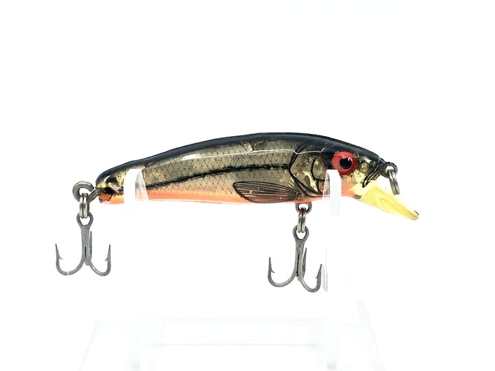 Bomber Long A 13A, XSIO Silver Flash/Orange Belly Color