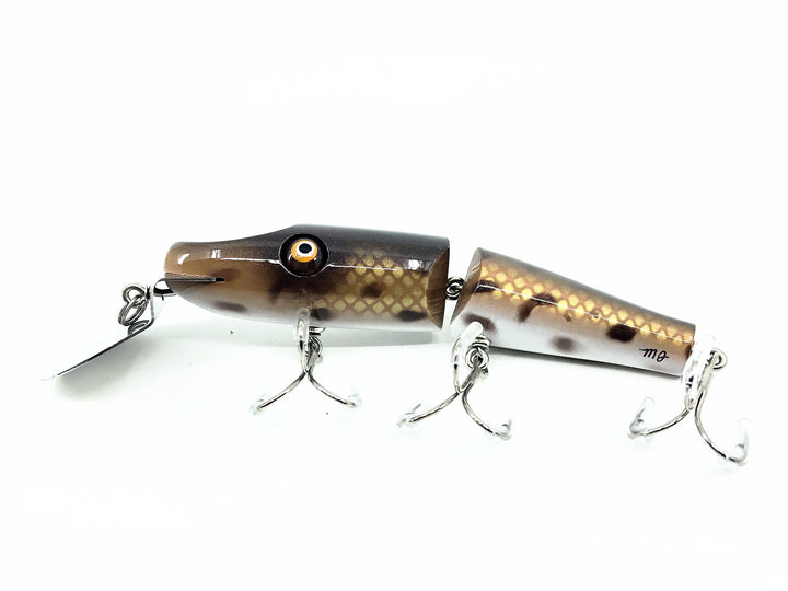 Chautauqua Jointed Creek Chub, Spotted Hogsucker Color