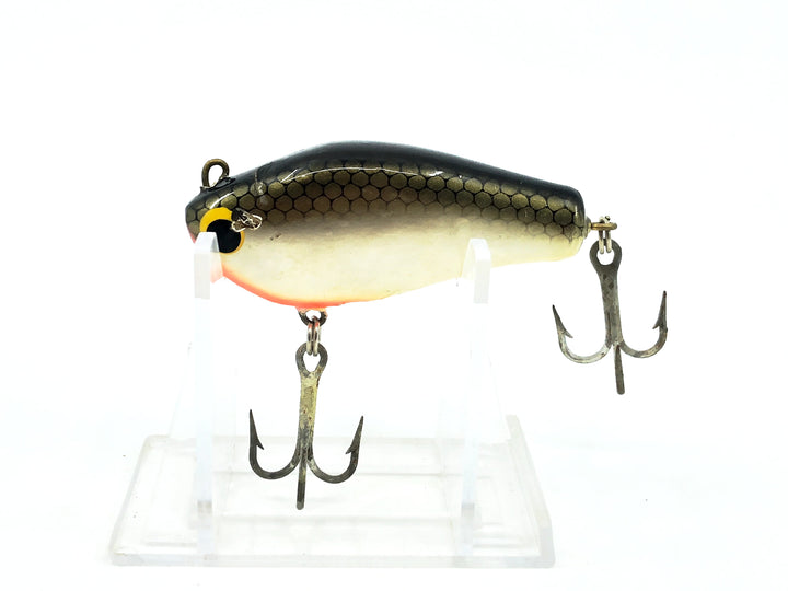 Bagley Pinfish Shiner PF3-TS, Tennessee Shad Color