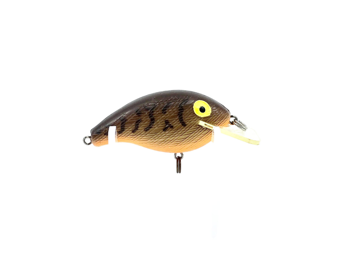 Rebel Wee R, #365 Crawfish Orange Belly Colo