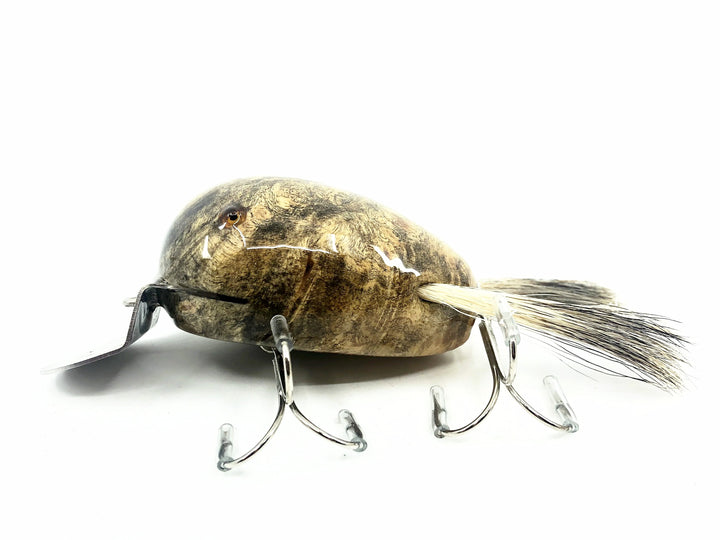 Musky Dan (XXX Lures) Dingbat 2 3/4", Buckeye Burl w/COA