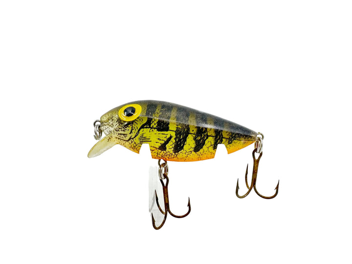 Storm Rattlin' Thin Fin RT60, Naturistic Perch Color