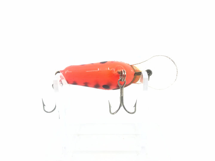 Bagley Diving Honey B1 DHB1, DC2 Dark Crayfish on Orange Color
