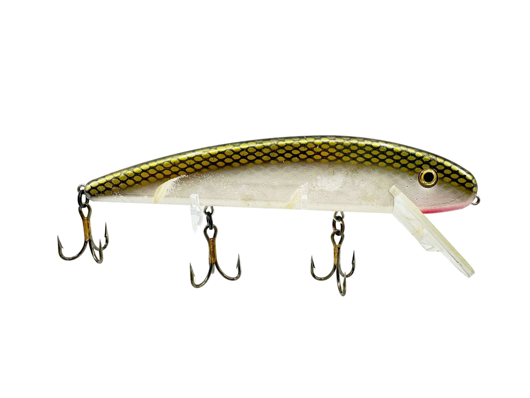 Jake 8" J8 Musky Bait, Tennessee Shad Type Color