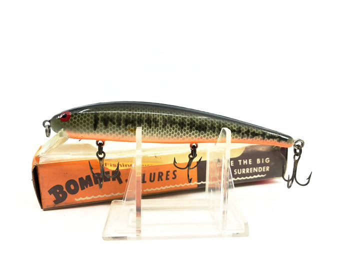 Bomber Long A 15A, BBO Baby Bass/Orange Belly Color with Box