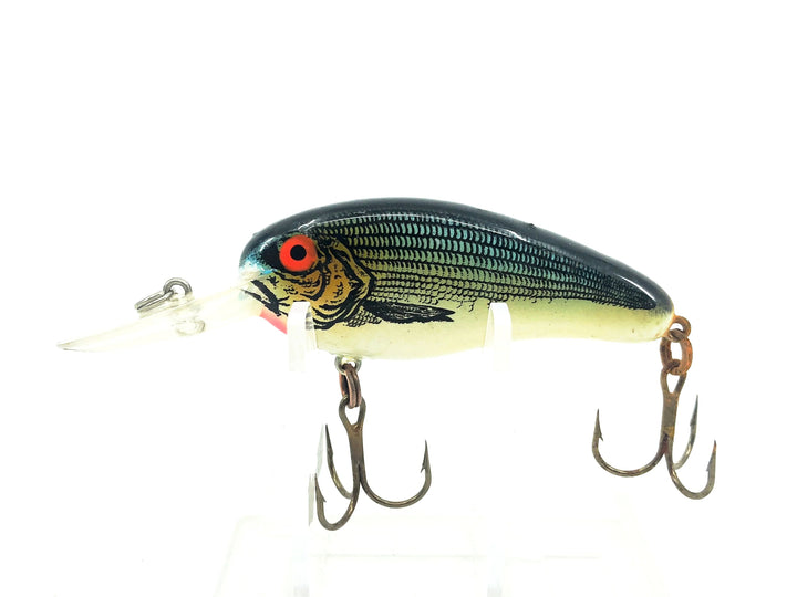 Bomber Flat A 2F, Coppernose Bluegill Color - Tough Color