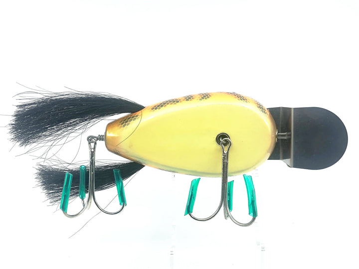 Musky Dan (XXX Lures) Giant Dingbat 6", Orange/Black Scale & Back Color