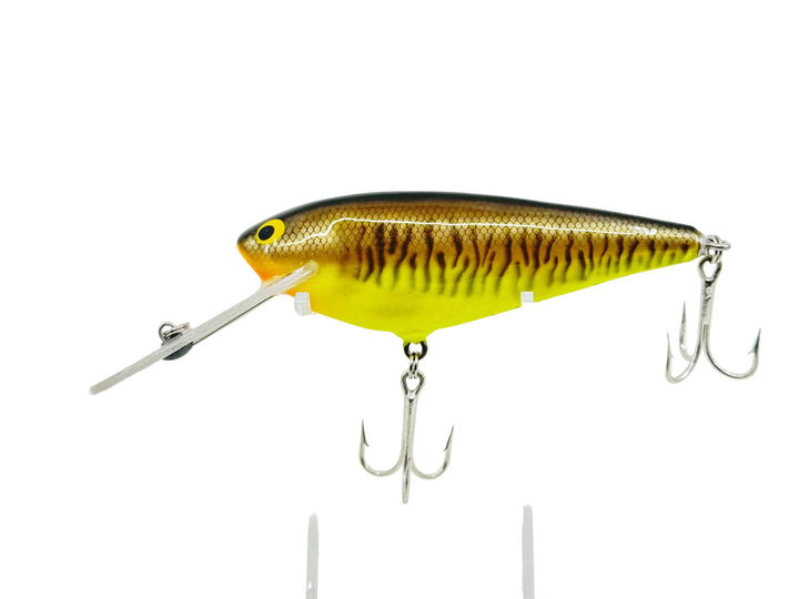 Bagley Monster Shad MSD-LM9 Little Musky on Chartreuse Color