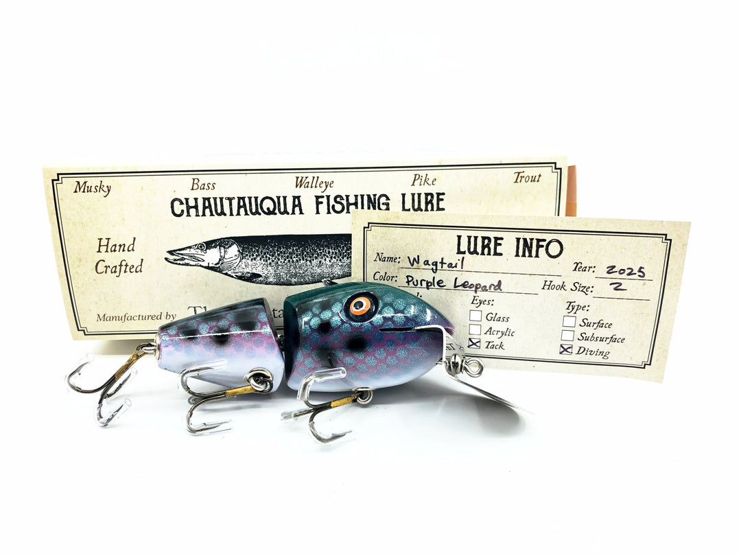 Chautauqua Wagtail, Purple Leopard Color