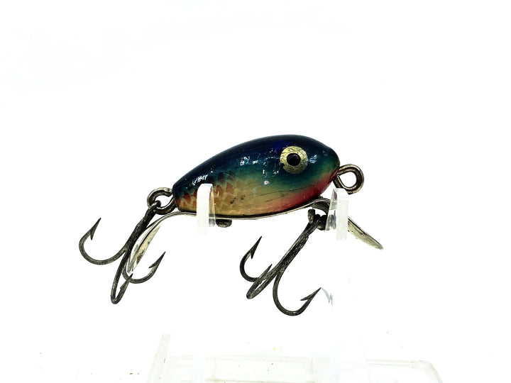 Shakespeare Dopey, BRS Blue Back/Yellow Scale Color