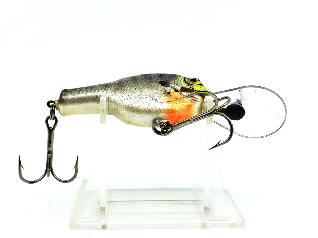 Bagley Small Fry 3DSF1, SH4 Bream on White Color