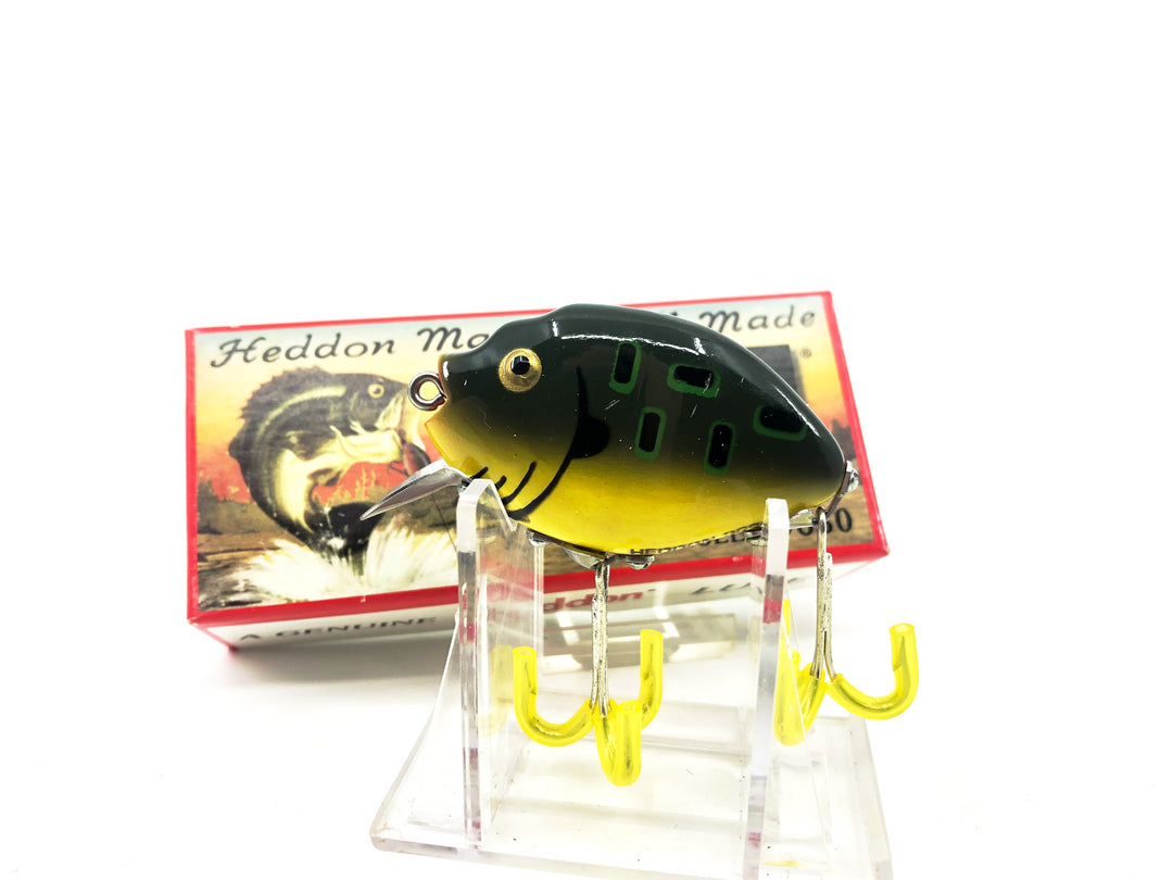 Heddon 9630 Punkinseed X9630BF Bullfrog Color New in Box