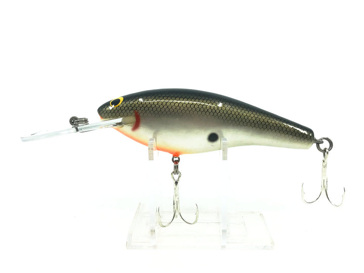 Bagley Diving DB04-TS Tennessee Shad Color - Tough Vintage Lure