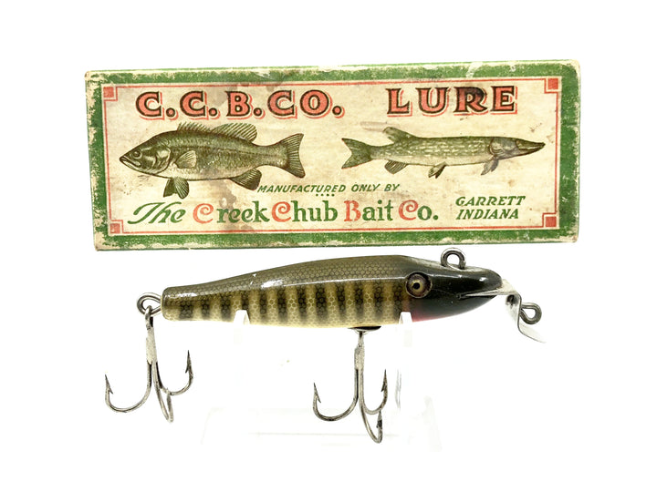 Vintage Creek Chub Baby Pikie 900, Pikie Color with Box