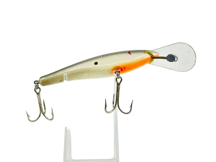 Bagley DBO6, TS Tennessee Shad Color - Winter Haven