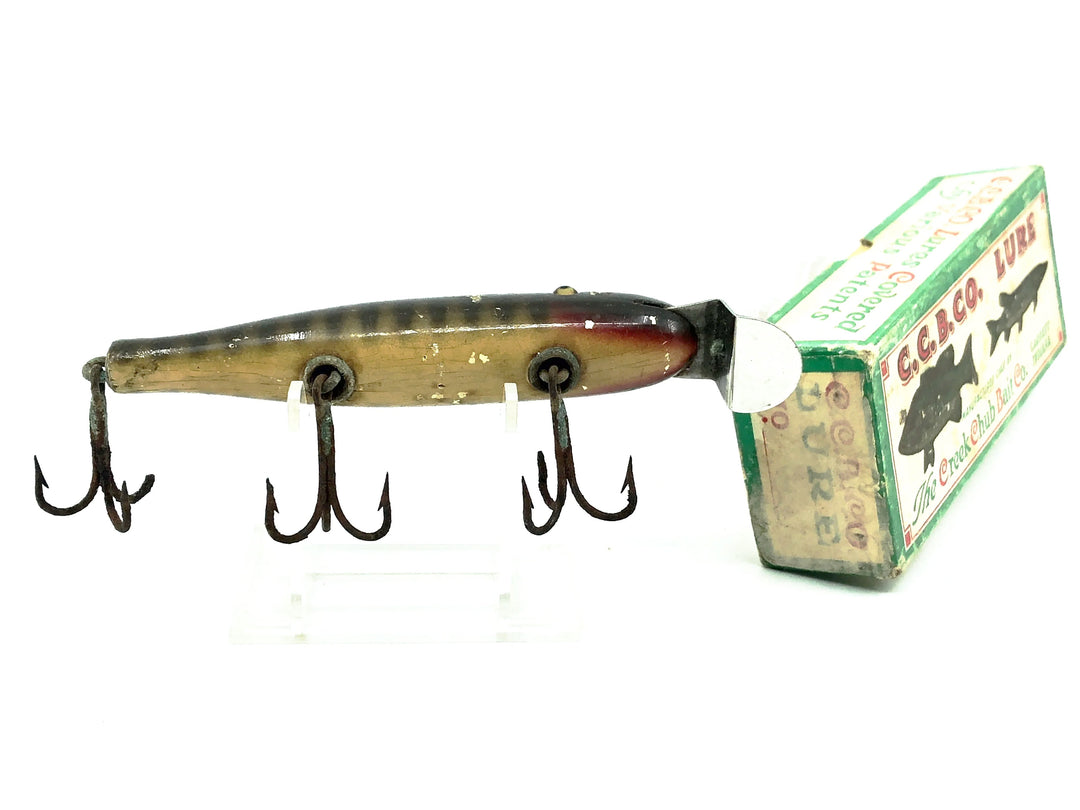 Creek Chub 700 Jointed Pikie, 700 Pikie Scale Color with Box
