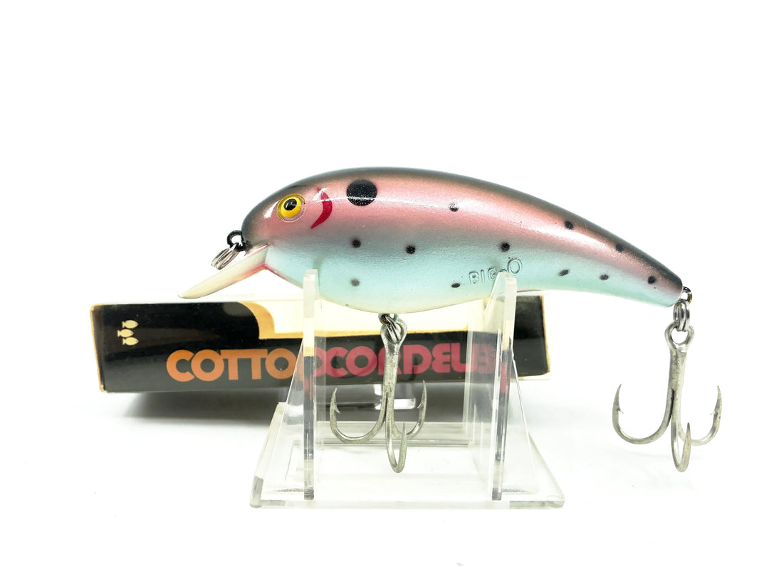 Cotton Cordell 8100 Big-O, #Rainbow Trout Color with Box
