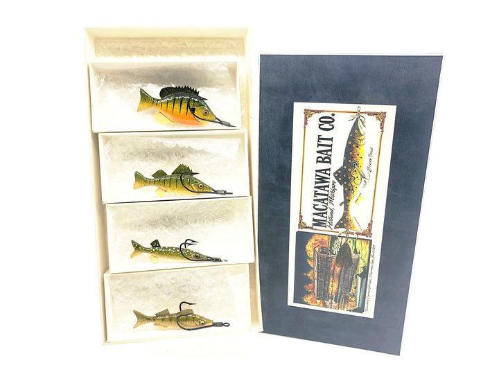 Macatawa Bait Co. Flyrod Fish Sample Box