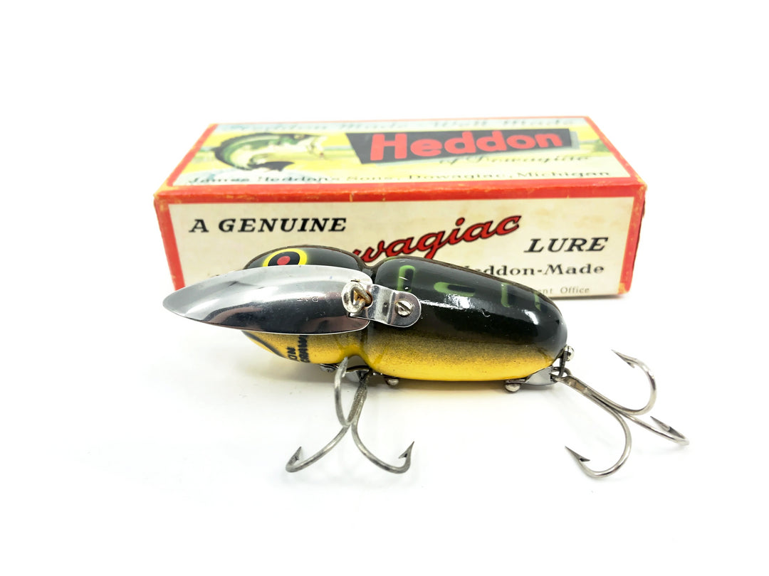 Heddon Crazy Crawler 2100, BF Bullfrog Color with Box