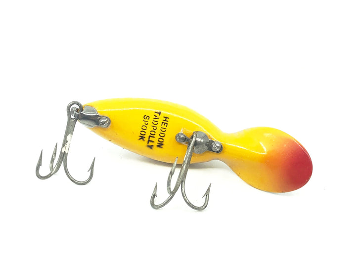Heddon Tadpolly, PG Golden Shiner Color - Older Gold Eye Model