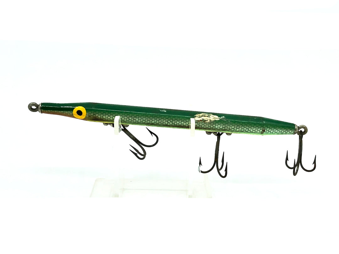 Boone Needlefish, Green Scale Color