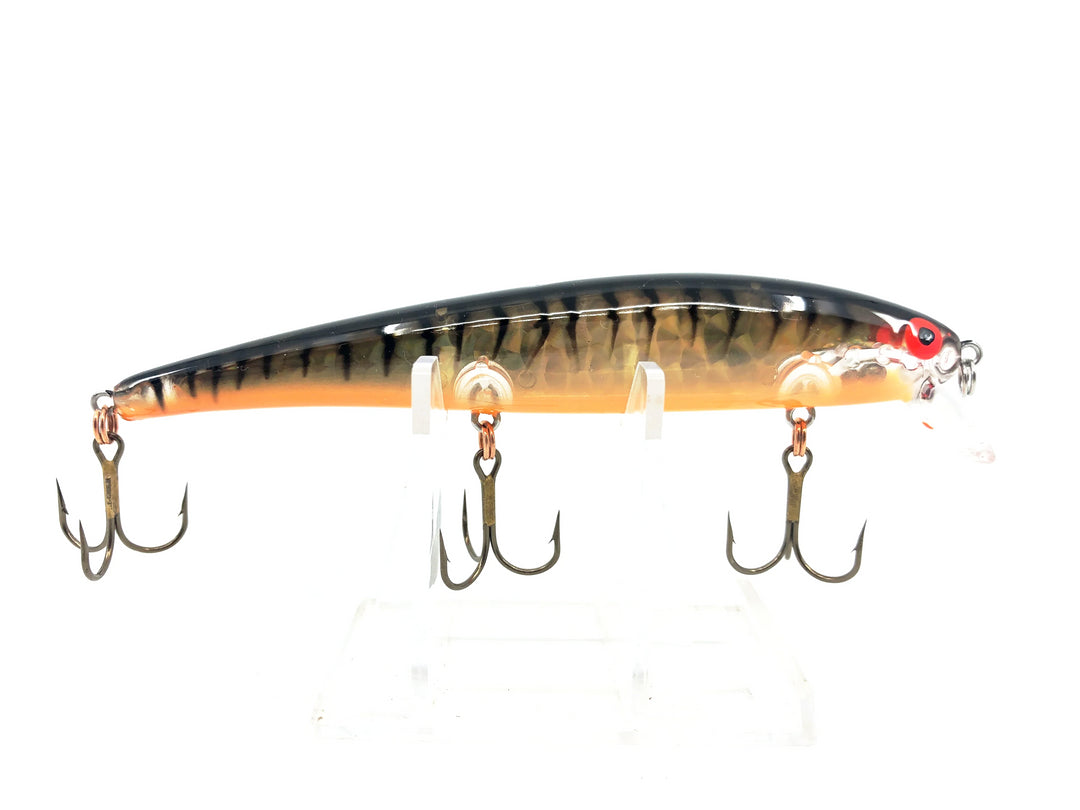 Bomber Long A 15A, GPTBRO Gold Prism/Black Back & Bars/Orange Belly Color