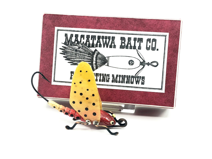 Macatawa Spotted Mayfly w/Box