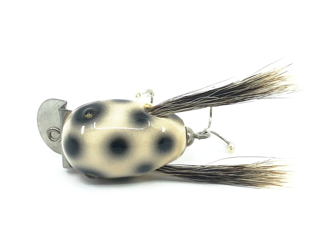 Musky Dan (XXX Lures) Baby Dingbat, White/Black Dots w/COA