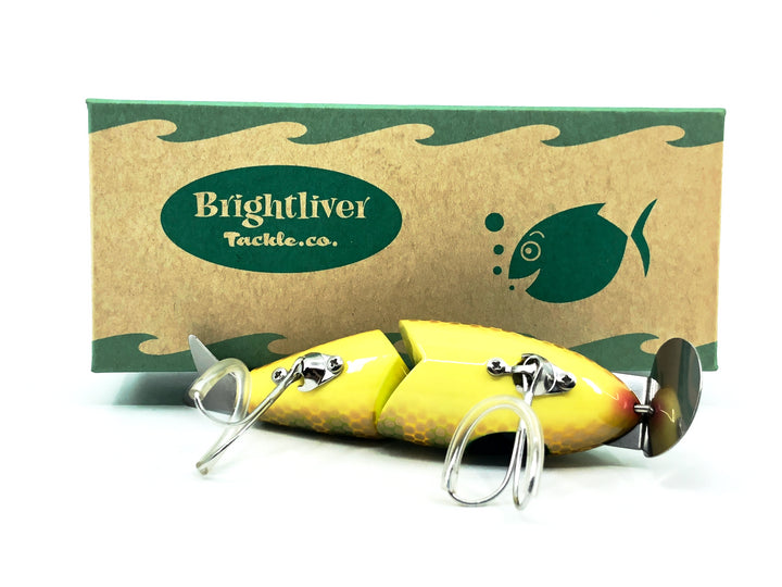 BrightLiver Wigglefish, Perch Color with Box