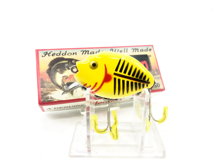 Heddon 9630 Punkinseed X9630XYWBR Yellow & Black Shore Color New in Box
