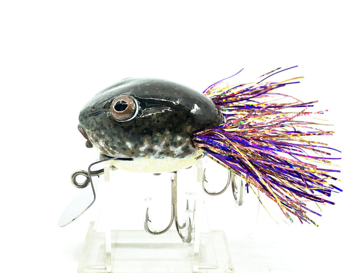 Chautauqua Deluxe Dingbat, Tadpole Color