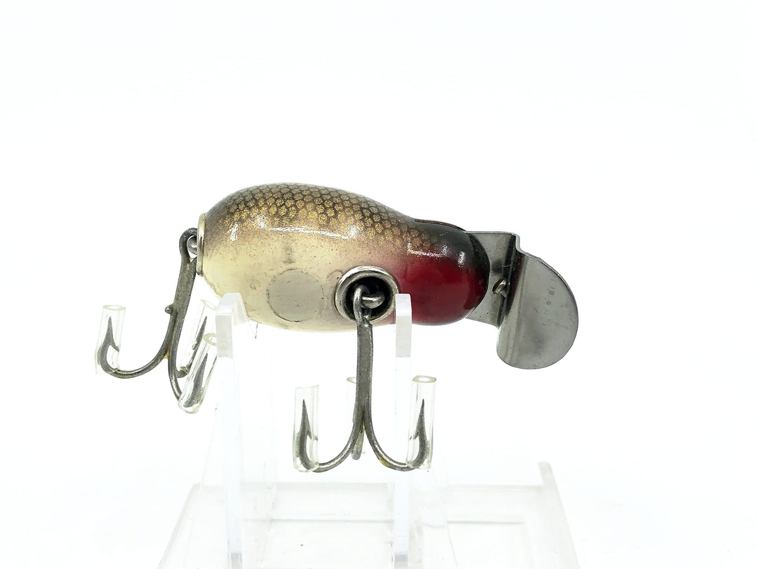 Creek Chub 6400 Tiny Tim, #00 Pikie Scale Color