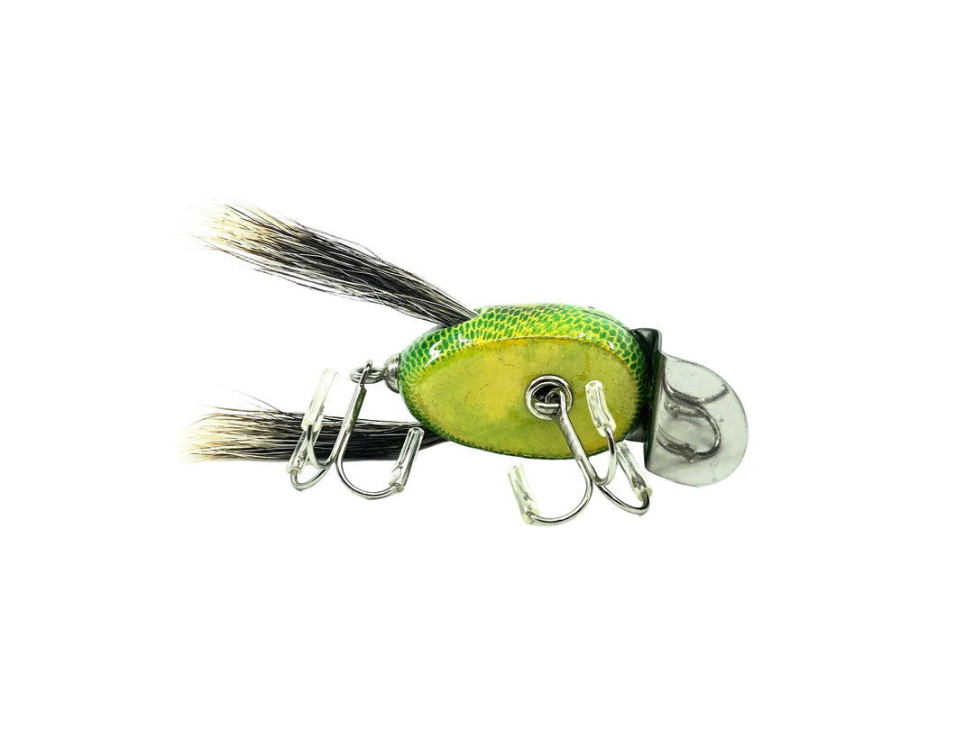Musky Dan (XXX Lures) Baby Dingbat, Frog Spot w/COA