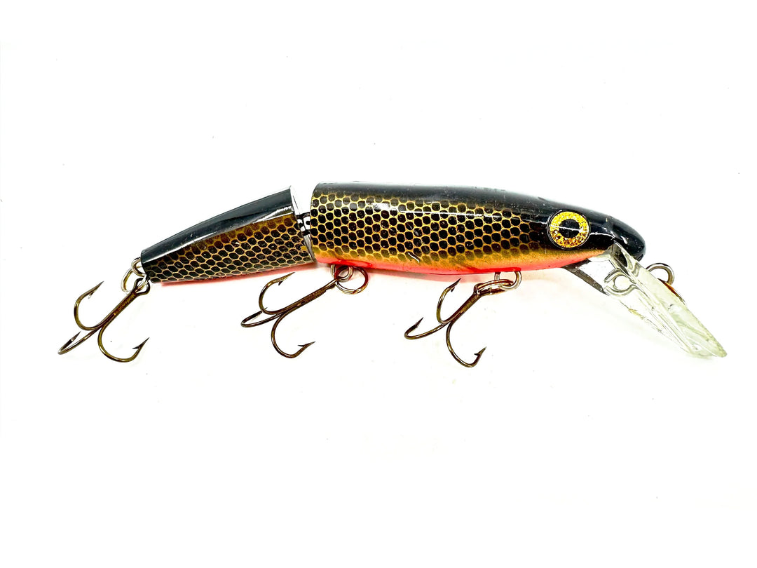 Joe Bucher Tackle Co. Buchertail Jointed Depth Raider 8", Orange/Gold/Black Scale Color