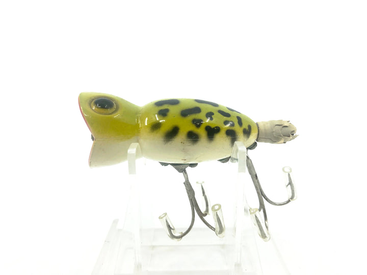 Arbogast Hula Popper Frog Color