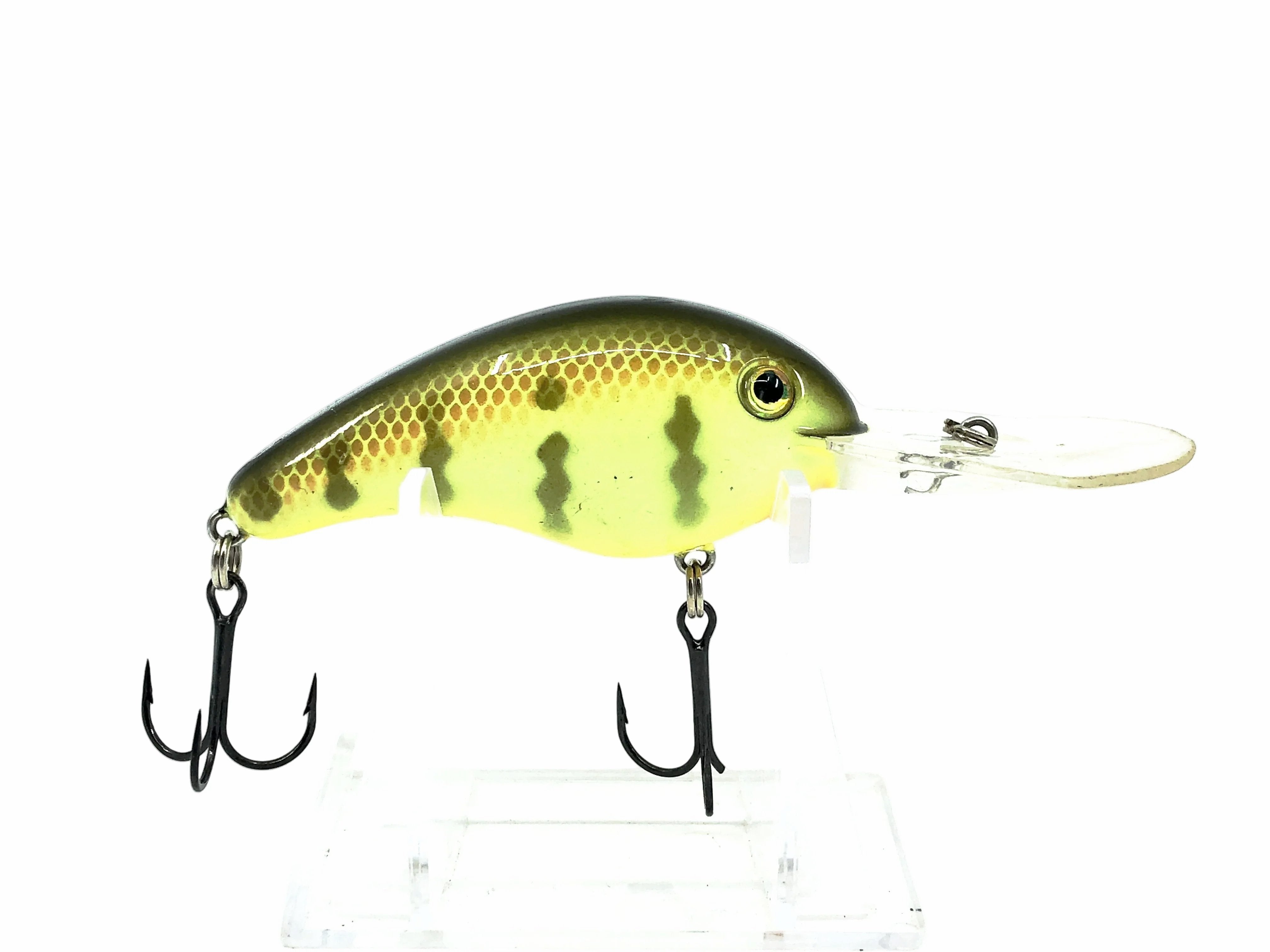 Newest Products