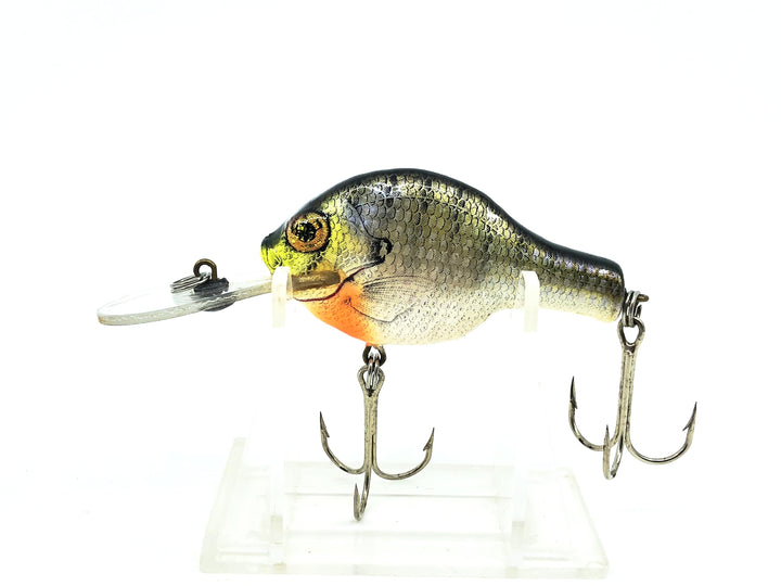 Bagley Small Fry 3DSF1, SH4 Bream on White Color